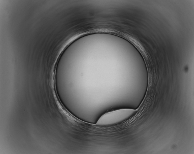 X0000100761439200806190859