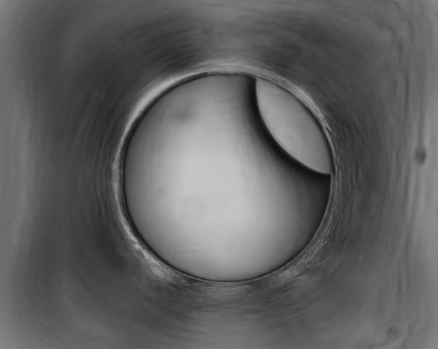 X0000100761440200806190859