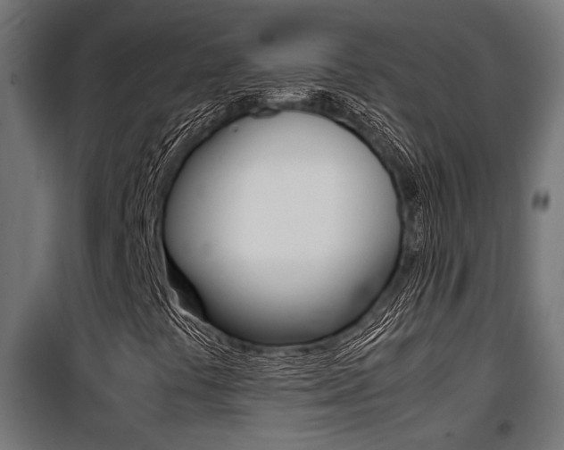 X0000100761441200806190858