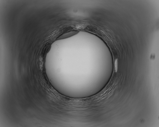 X0000100761443200806190858