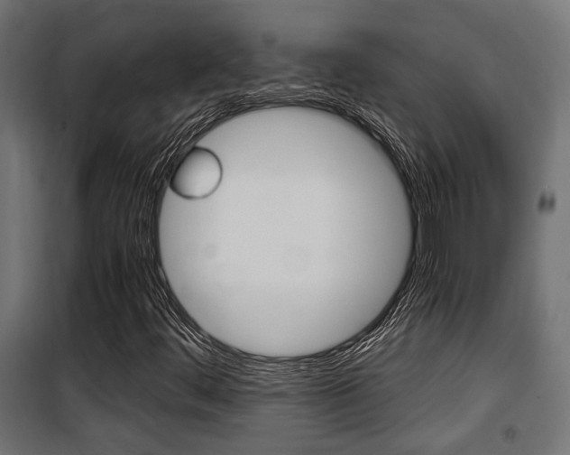 X0000100761444200806190858