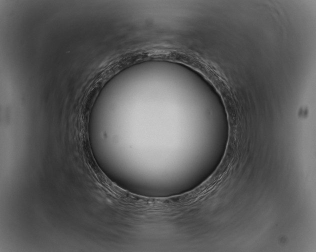 X0000100761445200806190858