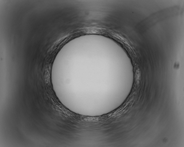 X0000100761446200806190858