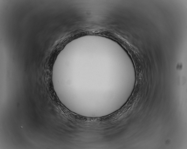 X0000100761447200806190858