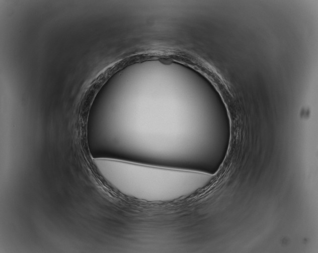 X0000100761448200806190858