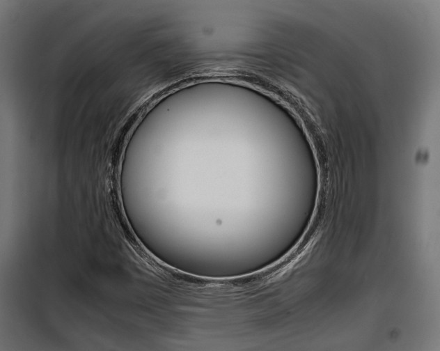X0000100761449200806190858