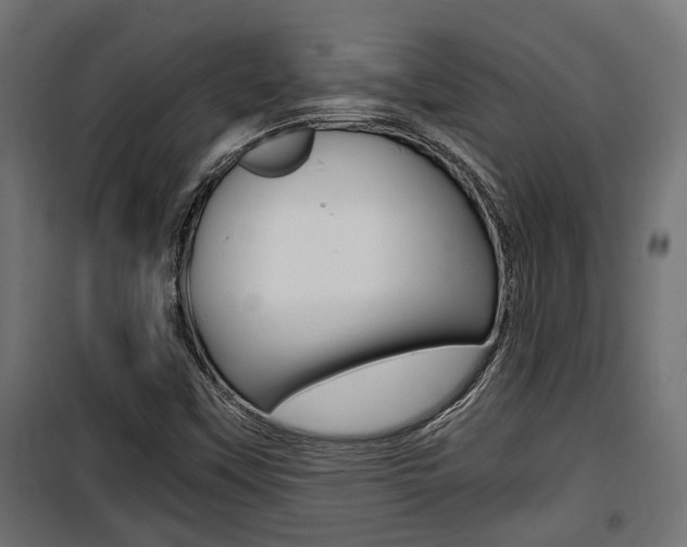 X0000100761451200806190858