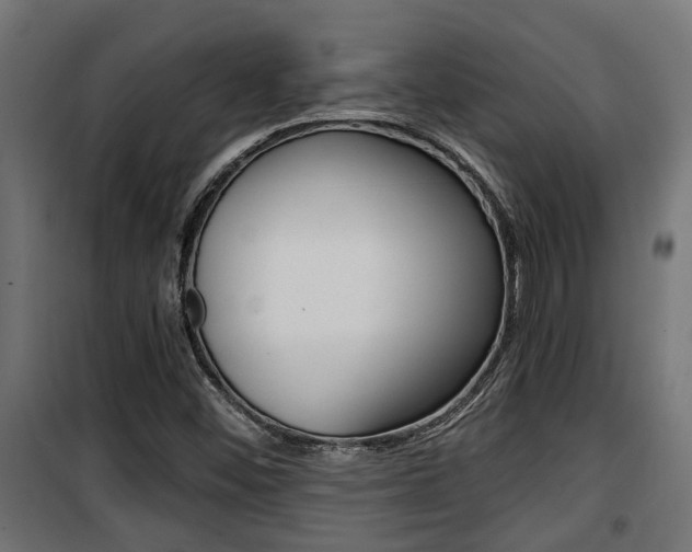 X0000100761452200806190858