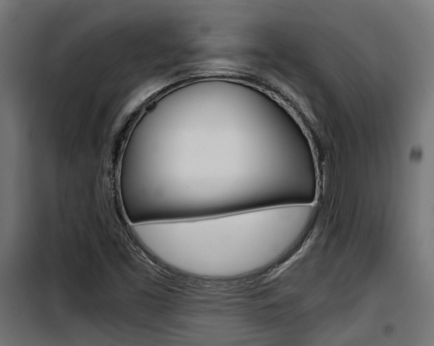 X0000100761453200806190858