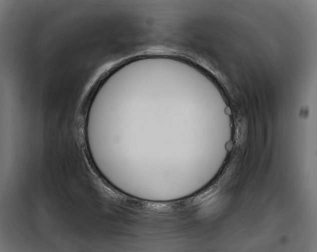 X0000100761454200806190858