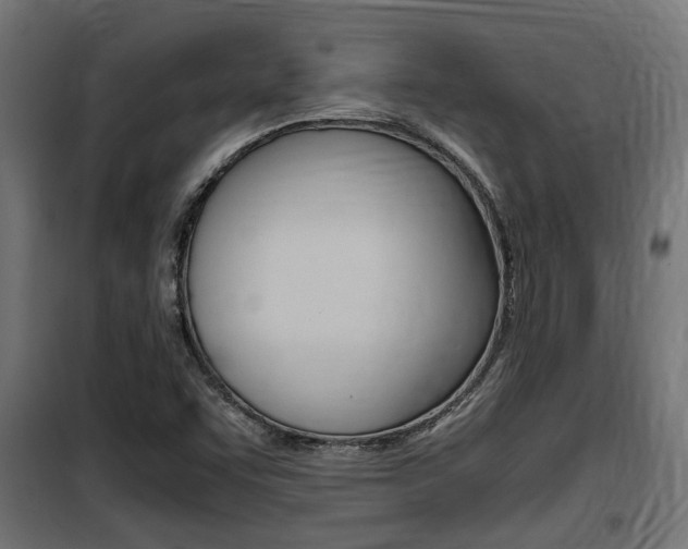 X0000100761455200806190858