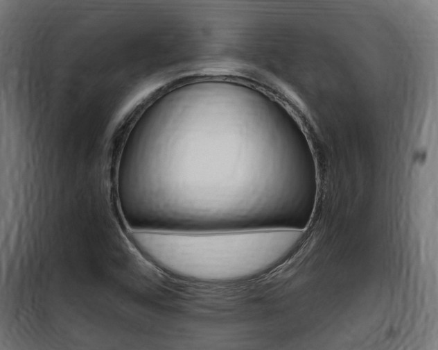 X0000100761456200806190858
