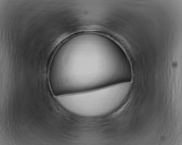X0000100761457200806190858