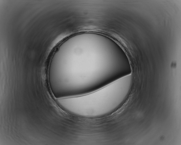 X0000100761458200806190858