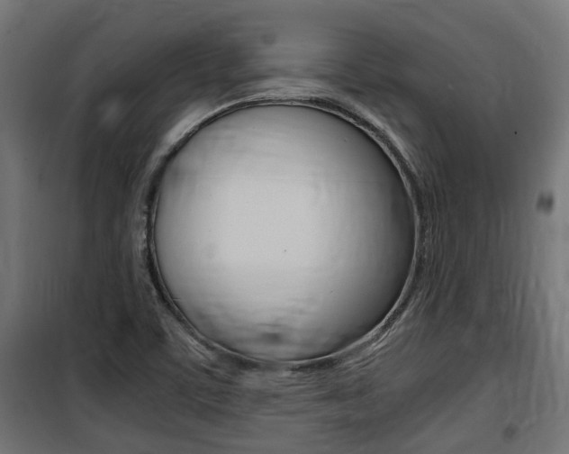X0000100761459200806190858