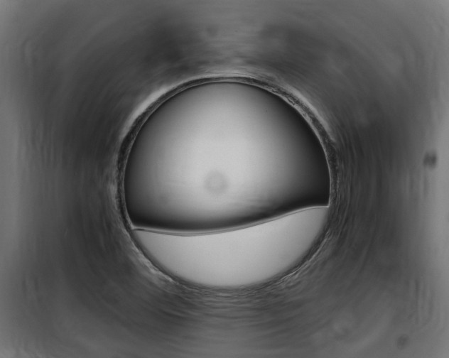 X0000100761460200806190858