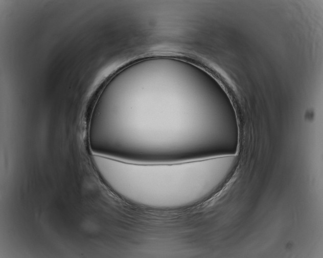 X0000100761461200806190858