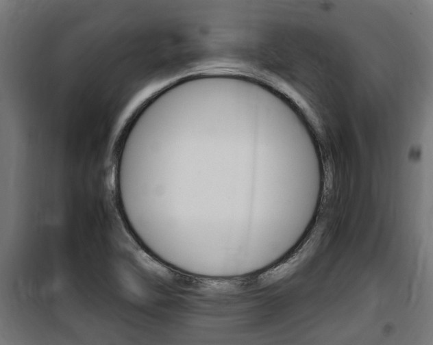 X0000100761462200806190858