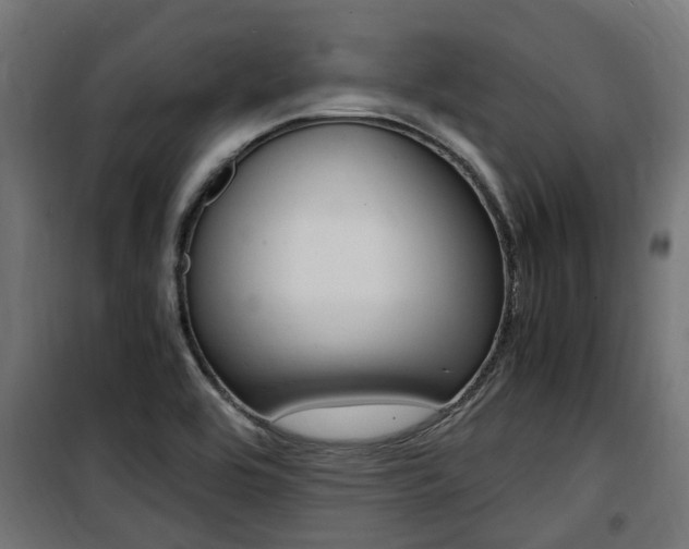 X0000100761464200806190858