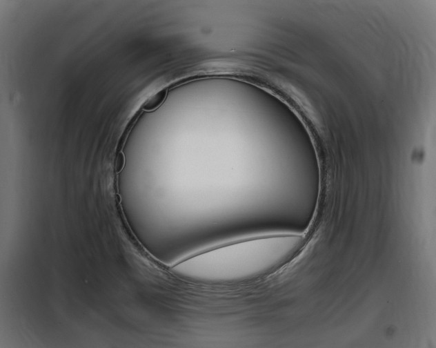 X0000100761465200806190858