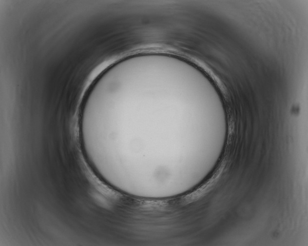 X0000100761466200806190858