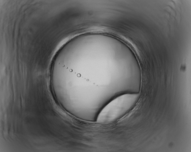 X0000100761467200806190858