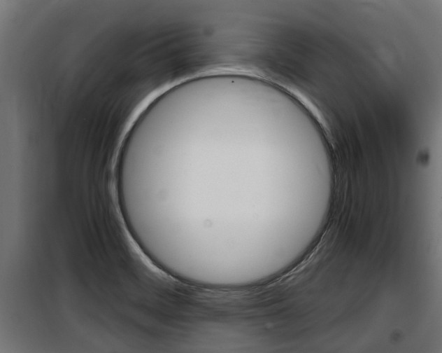 X0000100761468200806190858