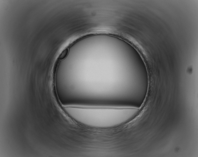 X0000100761469200806190858