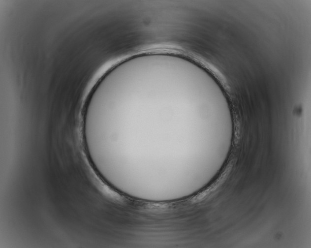 X0000100761470200806190858