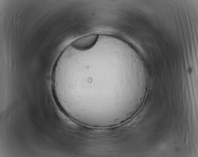 X0000100761471200806190858