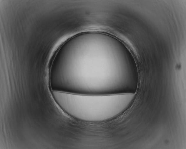 X0000100761472200806190857