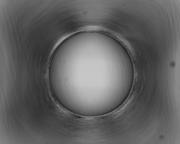 X0000100761473200806190857