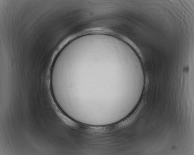 X0000100761474200806190857