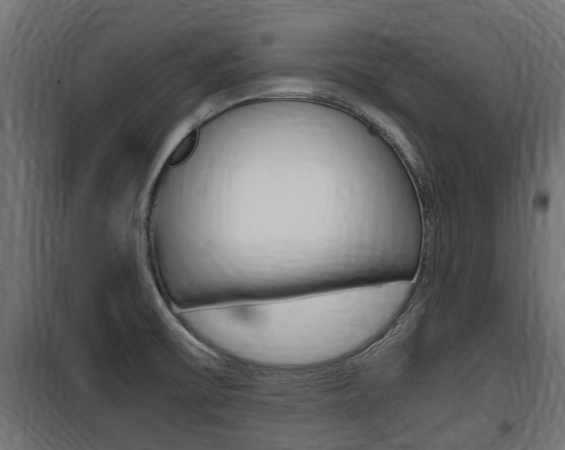 X0000100761475200806190857