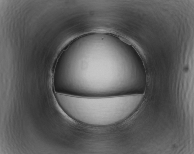 X0000100761476200806190857