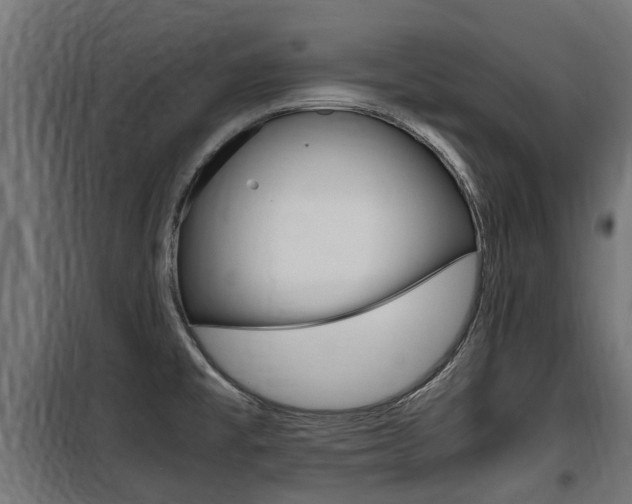 X0000100761477200806190857