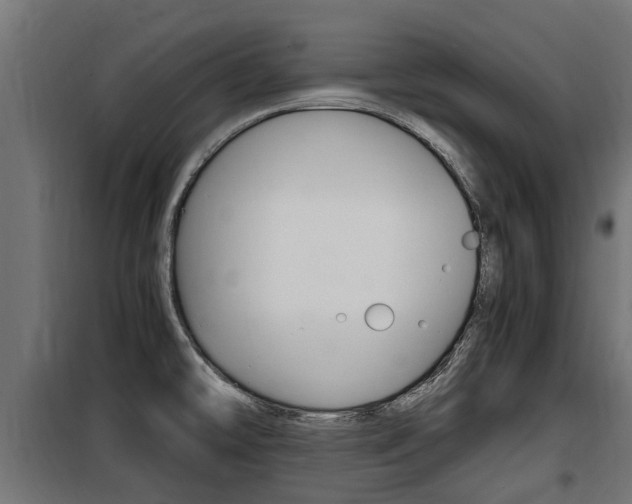 X0000100761478200806190857