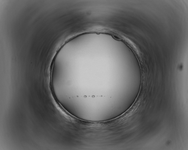 X0000100761479200806190857