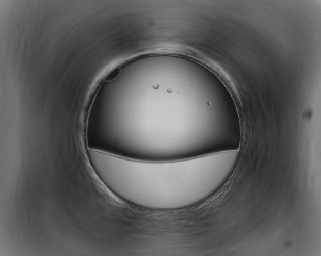 X0000100761480200806190857