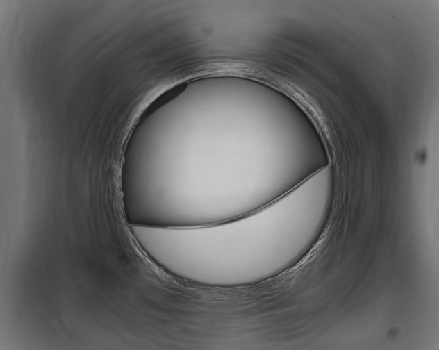 X0000100761481200806190857