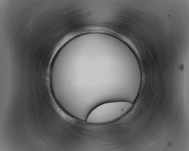 X0000100761482200806190857