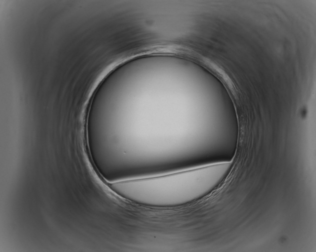X0000100761483200806190857