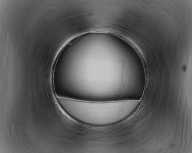 X0000100761484200806190857
