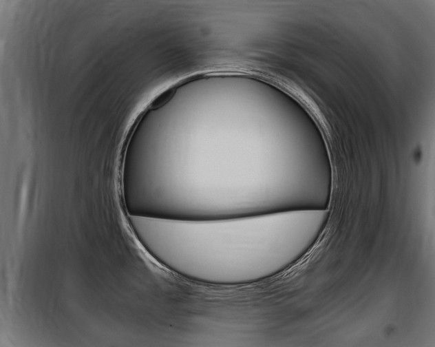 X0000100761485200806190857