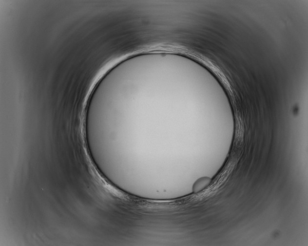 X0000100761486200806190857