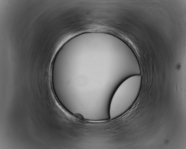 X0000100761487200806190857