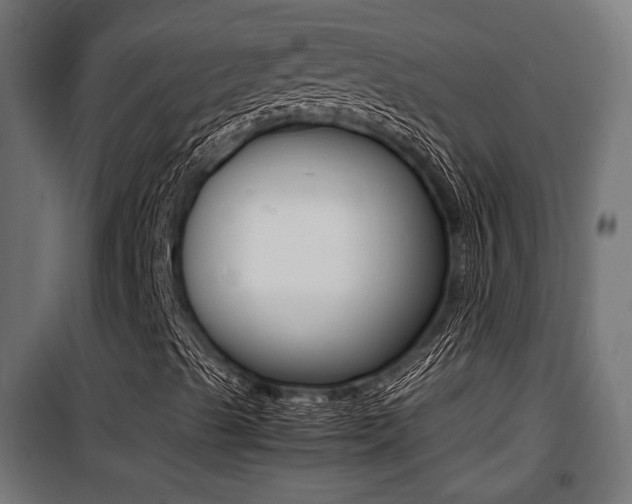 X0000100761489200806190856