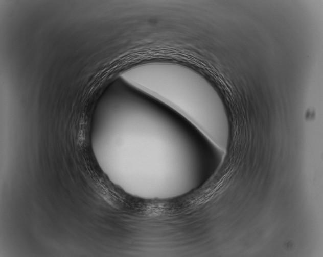 X0000100761490200806190856