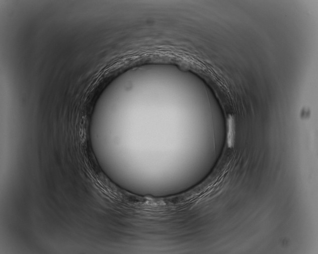X0000100761491200806190856