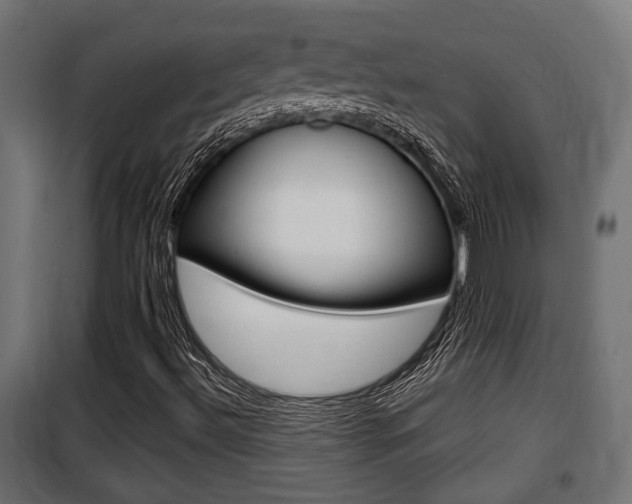 X0000100761492200806190856